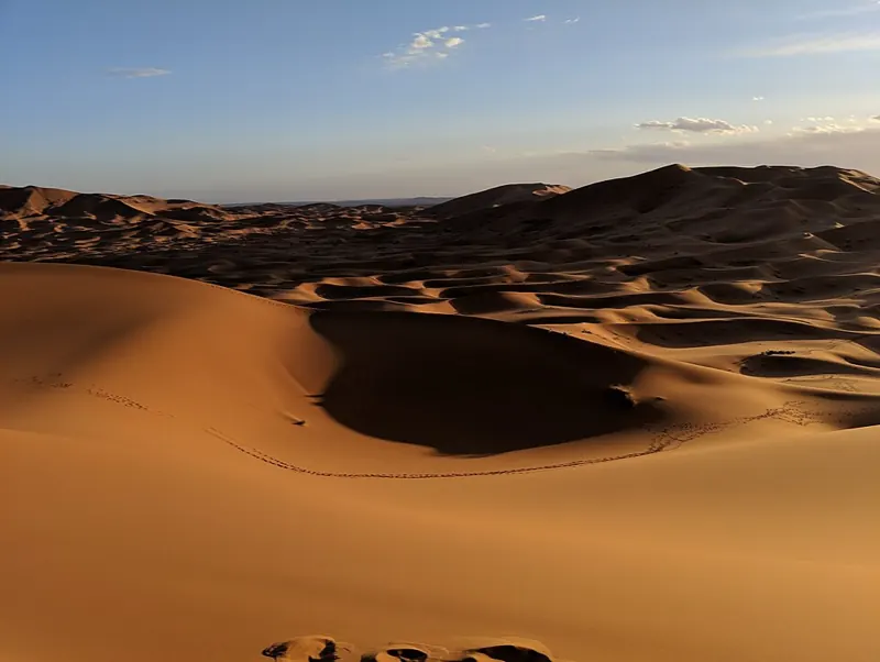 Desert dunes late in the day, the stages Sundog Rally races across
